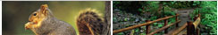 SierraSentry Mountain Home Watch Services