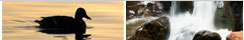 SierraSentry Mountain Home Watch Services